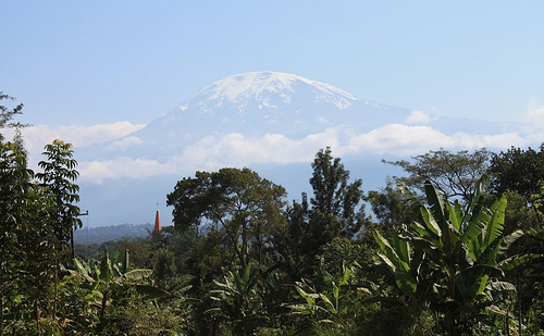 Природа. Килиманджаро. ledy 2008.